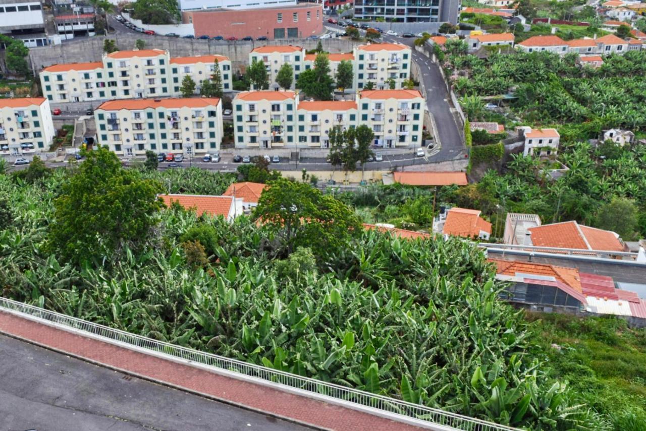 Design Gardens, A Home In Madeira Funchal  Esterno foto